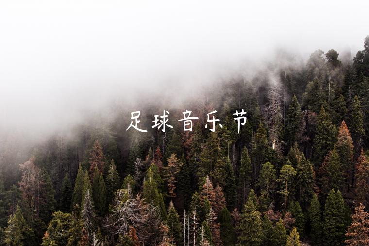 足球音乐节-第1张图片-芝麻交易所下载