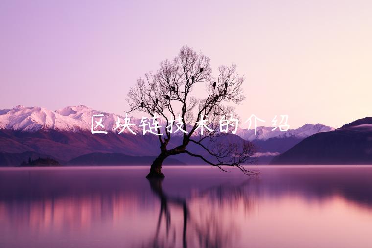 区块链技术的介绍-第1张图片-芝麻交易所下载