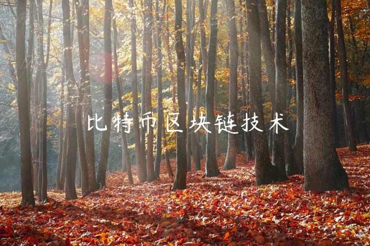 比特币区块链技术-第1张图片-芝麻交易所下载