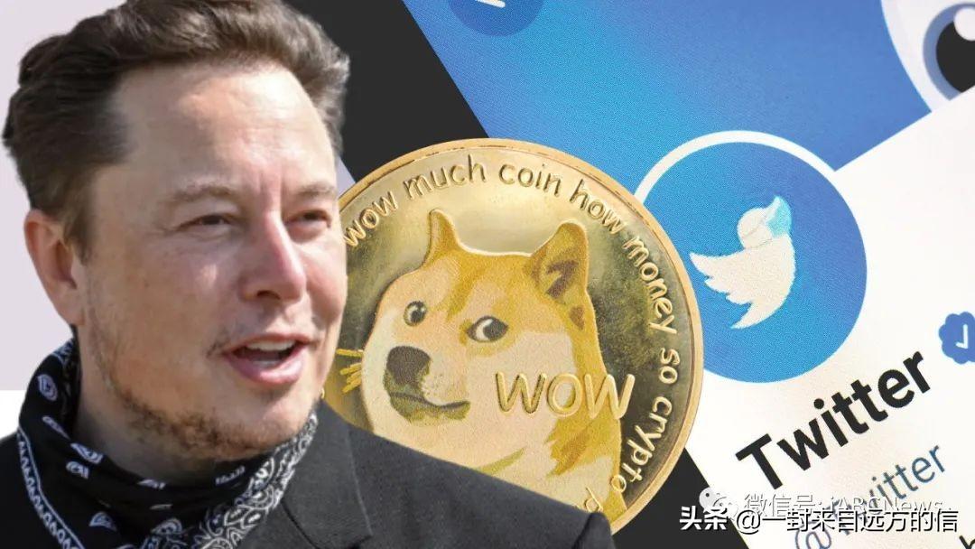 2022狗狗币（2022狗狗币现在翻了多少倍）-第1张图片-芝麻交易所下载
