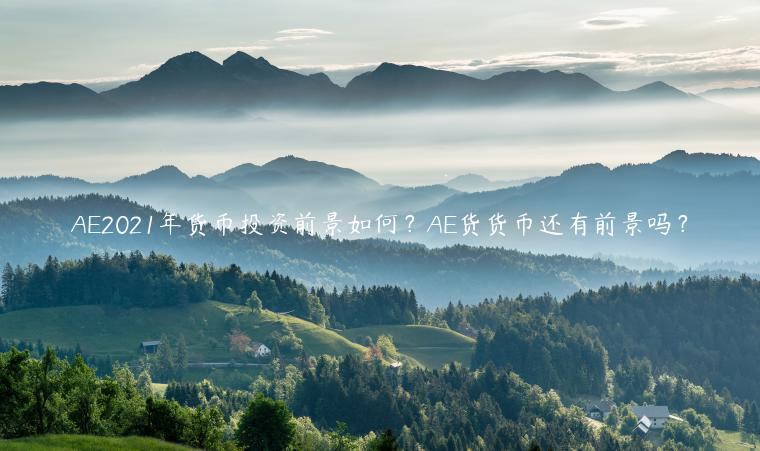 A2021年货币投资前景如何？A货货币还有前景吗？-第1张图片-芝麻交易所下载