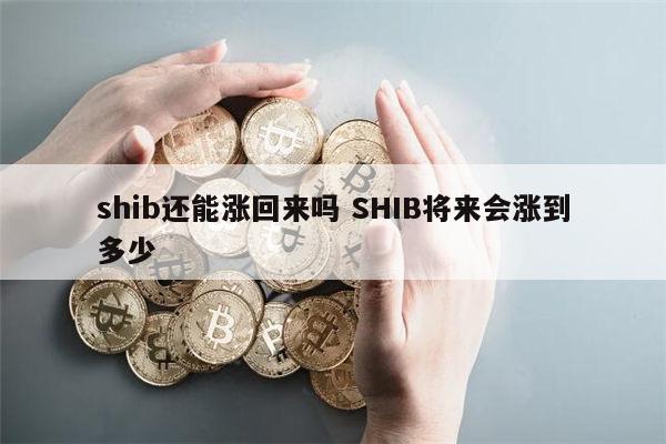 shib还能涨回来吗 屎币能涨到1元吗-第1张图片-芝麻交易所下载