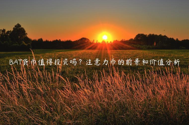 BAT货币值得投资吗？注意力币的前景和价值分析-第1张图片-芝麻交易所下载