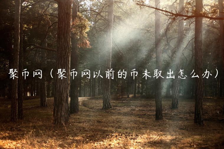 聚币网（聚币网以前的币未取出怎么办）-第1张图片-芝麻交易所下载