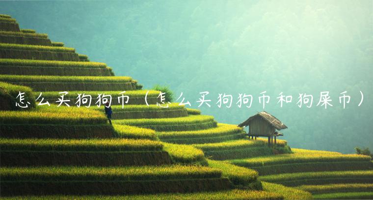 怎么买狗狗币（怎么买狗狗币和狗屎币）-第1张图片-芝麻交易所下载