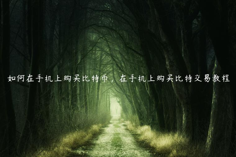 如何在手机上购买比特币，在手机上购买比特交易教程-第1张图片-芝麻交易所下载