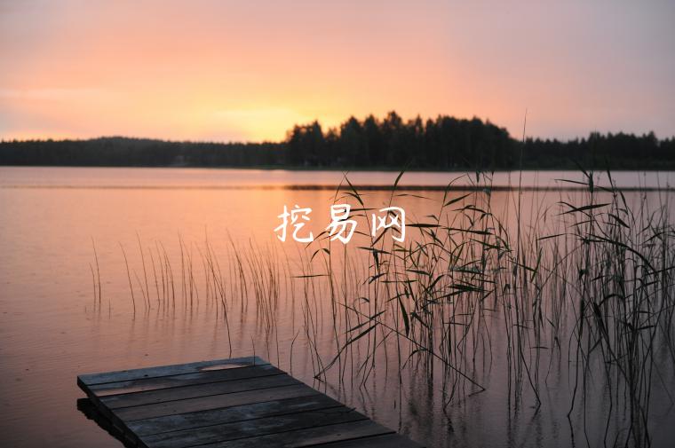挖易网-第1张图片-芝麻交易所下载