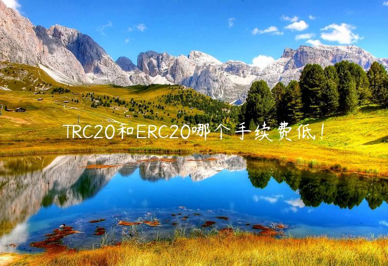 TRC20和RC20哪个手续费低！-第1张图片-芝麻交易所下载