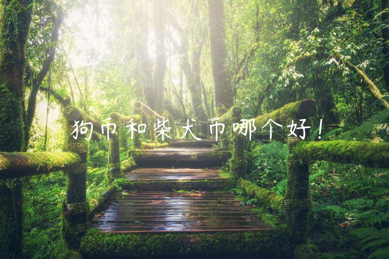 狗币和柴犬币哪个好！-第1张图片-芝麻交易所下载