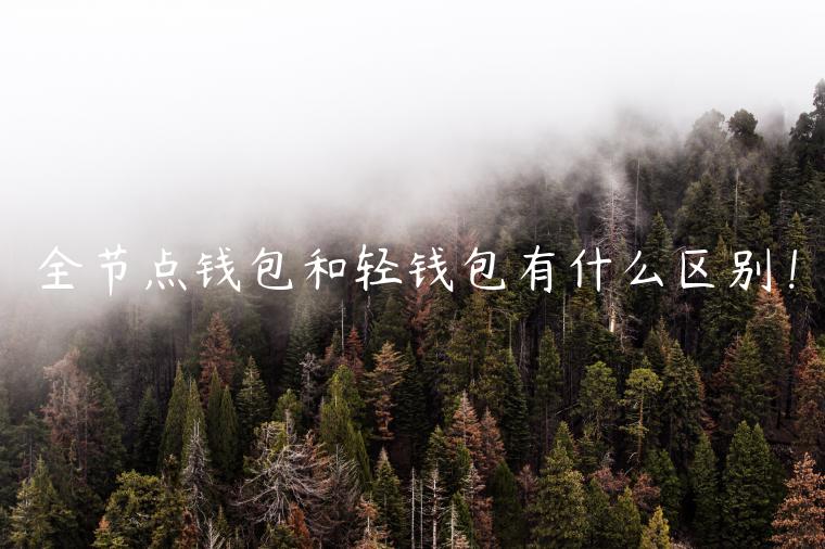 全节点钱包和轻钱包有什么区别！-第1张图片-芝麻交易所下载
