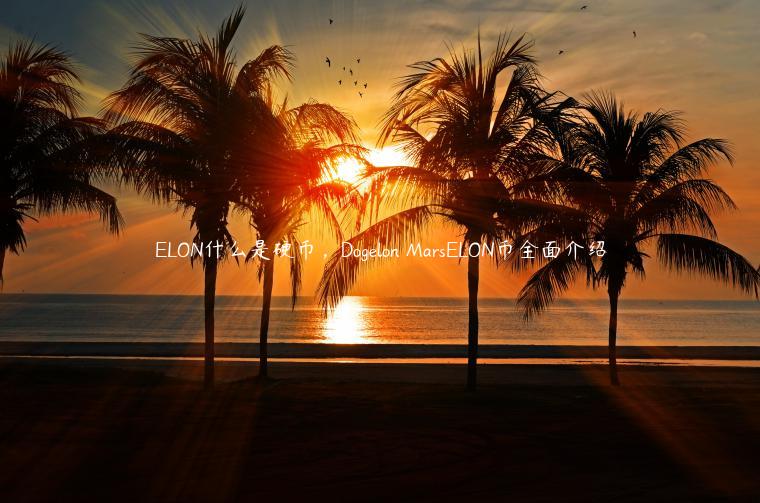 LON什么是硬币，Doglon MarsLON币全面介绍-第1张图片-芝麻交易所下载