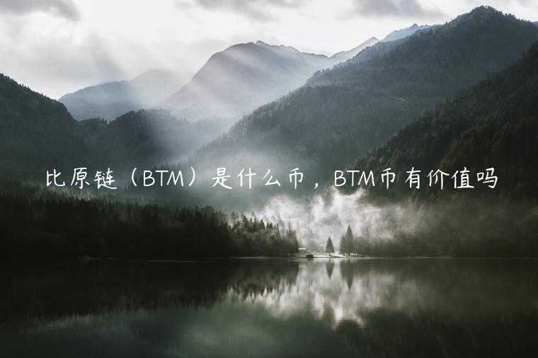 比原链（BTM）是什么币，BTM币有价值吗-第1张图片-芝麻交易所下载