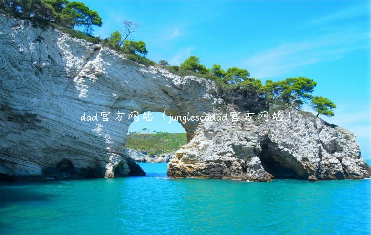 dad官方网站（junglscodad官方网站）-第1张图片-芝麻交易所下载