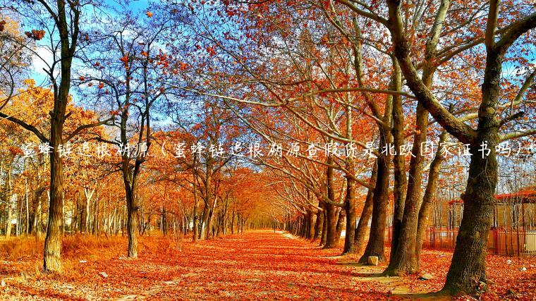 蜜蜂链追根溯源（蜜蜂链追根溯源查假货是北欧国家证书吗）-第1张图片-芝麻交易所下载