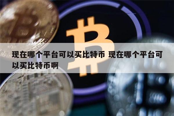 现在哪个平台可以买比特币 哪个平台买比特币靠谱-第1张图片-芝麻交易所下载
