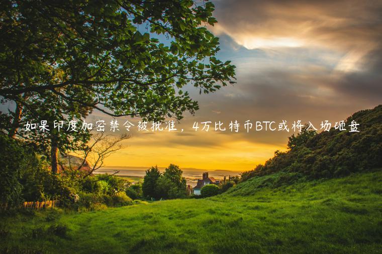 如果印度加密禁令被批准，4万比特币BTC或将入场砸盘-第1张图片-芝麻交易所下载
