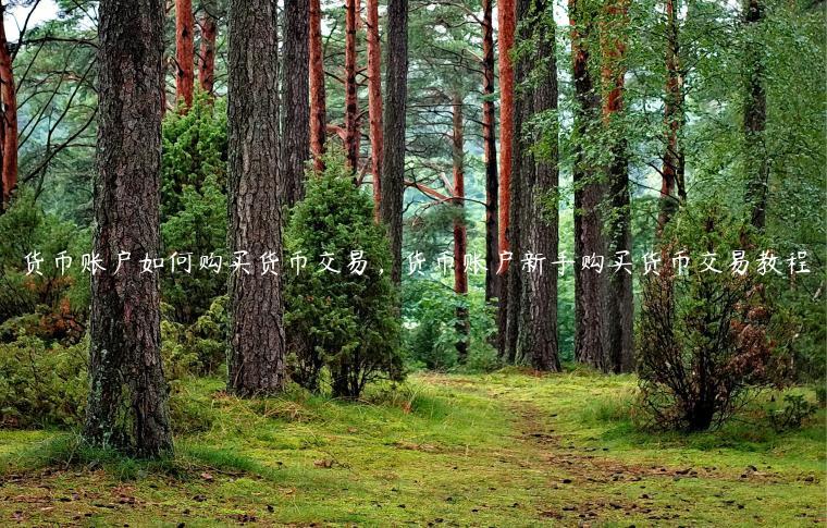 货币账户如何购买货币交易，货币账户新手购买货币交易教程-第1张图片-芝麻交易所下载