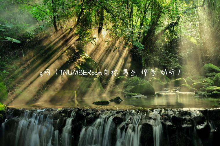 q网（TNUMBRcom自称 男生 绰号 动听）-第1张图片-芝麻交易所下载