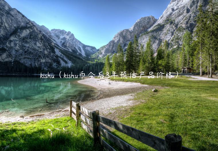 kishu（kishu币今后3年预估产品价格）-第1张图片-芝麻交易所下载