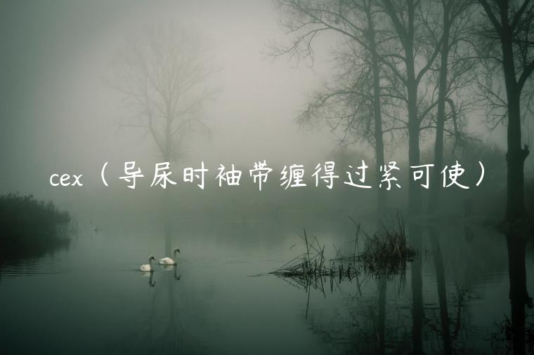 c（导尿时袖带缠得过紧可使）-第1张图片-芝麻交易所下载