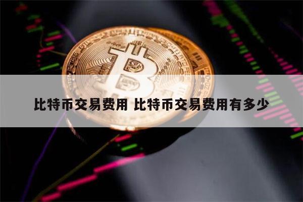 1比特币等于多少人民币2022年 买1000块钱比特币多少手续费-第1张图片-芝麻交易所下载