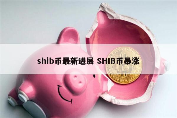 shib币是做什么项目 shib币未来前景-第1张图片-芝麻交易所下载