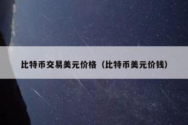 比特币交易美元价格（比特币美元价钱）-第1张图片-芝麻交易所下载