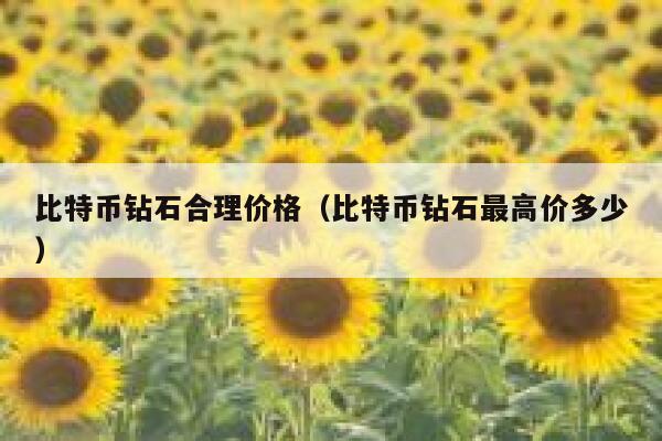 比特币钻石合理价格（比特币钻石最高价多少）-第1张图片-芝麻交易所下载