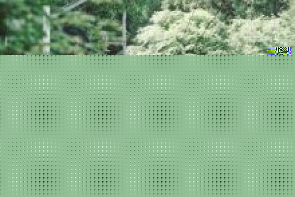 以太坊价格热（以太坊最新价格及行情）-第1张图片-芝麻交易所下载