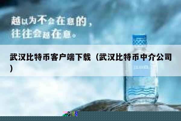武汉比特币客户端下载（武汉比特币中介公司）-第1张图片-芝麻交易所下载