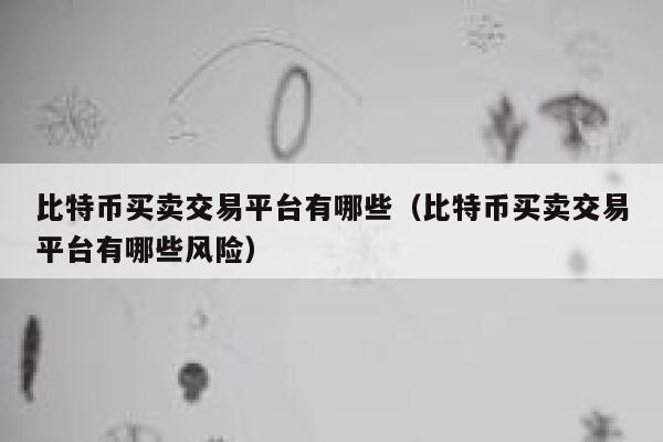 比特币买卖交易平台有哪些（比特币买卖交易平台有哪些风险）-第1张图片-芝麻交易所下载