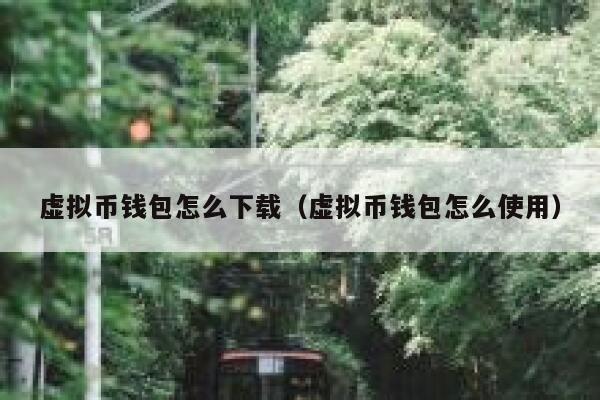 虚拟币钱包怎么下载（虚拟币钱包怎么使用）-第1张图片-芝麻交易所下载