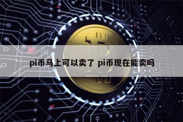 pi币可以卖了吗 pi币现在能出售吗-第1张图片-芝麻交易所下载