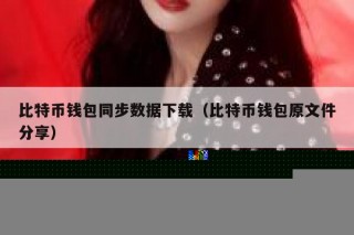 比特币钱包同步数据下载（比特币钱包原文件分享）