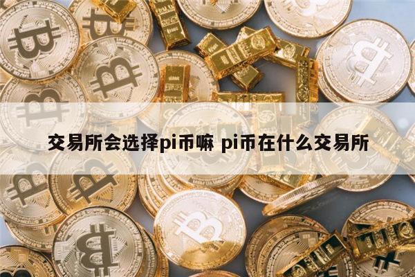 交易所会选择pi币嘛 pi币在哪个交易所-第1张图片-芝麻交易所下载