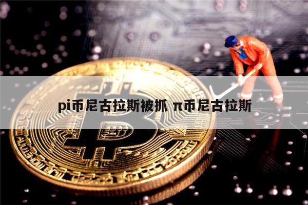 pi币尼古拉斯被抓了嘛 π币是否合法-第1张图片-芝麻交易所下载