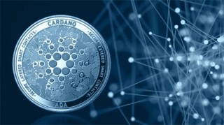 NXRA币今日最新价格行情