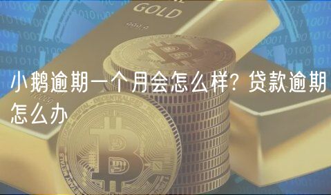 小鹅逾期一个月会怎么样? 贷款逾期怎么办-第1张图片-芝麻交易所下载