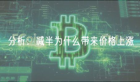 分析：减半为什么带来价格上涨-第1张图片-芝麻交易所下载
