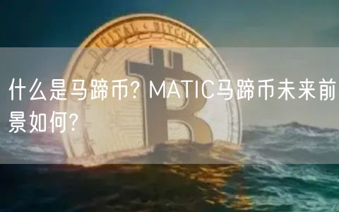 什么是马蹄币? MATIC马蹄币未来前景如何?-第1张图片-芝麻交易所下载