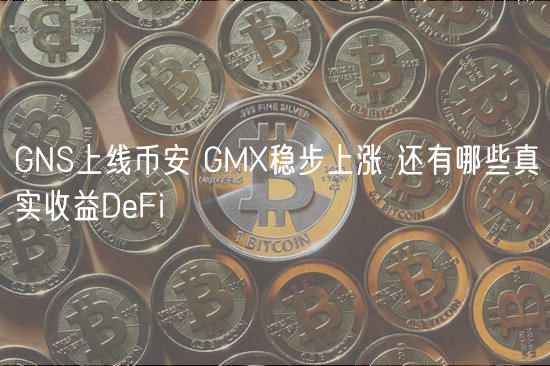 GNS上线binance GMX稳步上涨 还有哪些真实收益DeFi-第1张图片-芝麻交易所下载