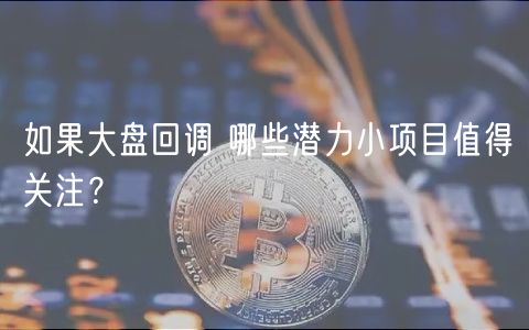 如果大盘回调 哪些潜力小项目值得关注？-第1张图片-芝麻交易所下载
