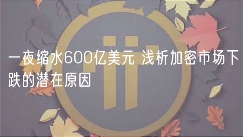 一夜缩水600亿美元 浅析加密市场下跌的潜在原因-第1张图片-芝麻交易所下载