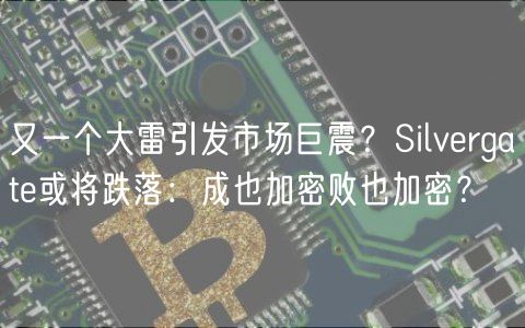 又一个大雷引发市场巨震？Silvergate或将跌落：成也加密败也加密？-第1张图片-芝麻交易所下载
