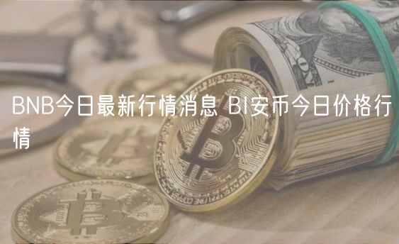 BNB今日最新行情消息 BI安币今日价格行情-第1张图片-芝麻交易所下载