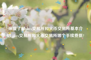 芝麻交易所下载最新官方app-深度了解ok 交易平台和火币 交易平台基本介绍 ok 交易平台和火币 交易平台哪个手续费低