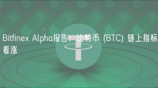 Bitfinex Alpha报告：比特币 (BTC) 链上指标看涨