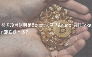 很多项目明明是&quot;大白马&quot; 为何Token却跌跌不休？
