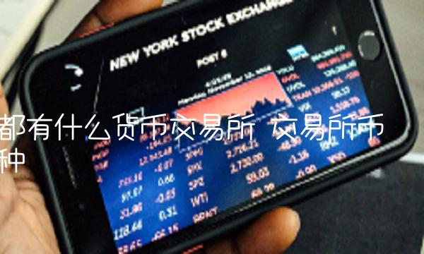 都有什么货币交易所-第1张图片-芝麻交易所下载