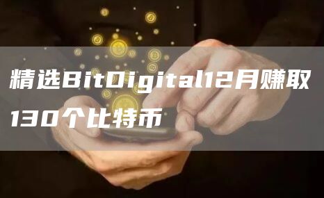 精选BitDigital12月赚取130个比特币-第1张图片-芝麻交易所下载